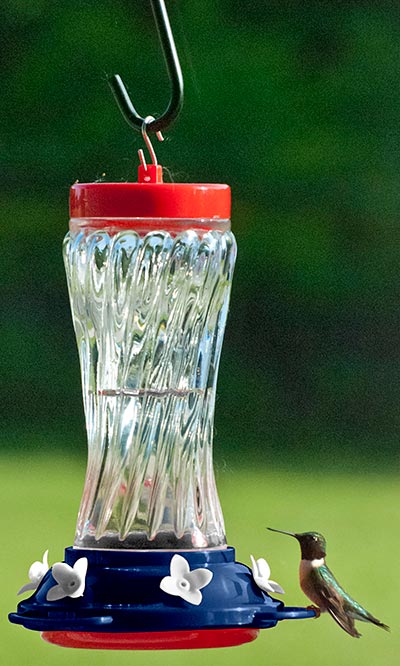 Woodlink Patriotic Swirl Glass Hummingbird Feeder, 16 oz. Flying Colors