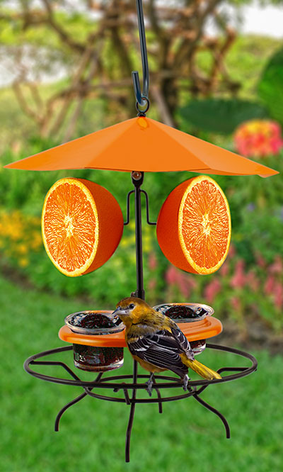 Woodlink Patio Table with Umbrella Oriole Feeder Flying Colors