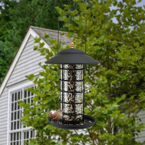 Woodlink Metal & Glass Lantern Bird Feeder, Matte Black Flying Colors