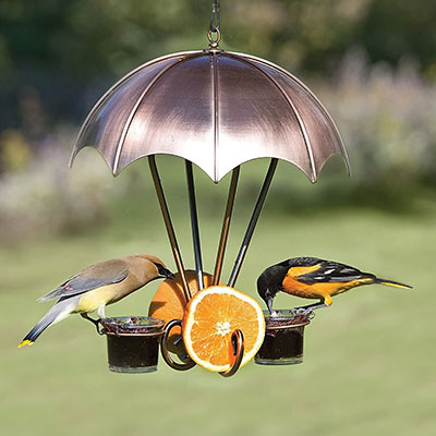 Woodlink Brushed Copper Oriole Feeder Flying Colors