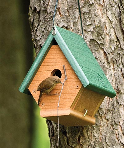 Woodlink Going Green Hanging Wren House Flying Colors