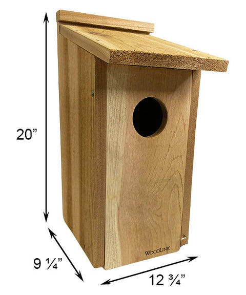 Woodlink Screech Owl & Kestrel House Flying Colors