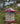 Woodlink Weight Sensitive Wild Bird Feeder, Red Flying Colors