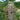 Woodlink Caged Wild Bird Feeder Flying Colors