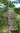 Woodlink Caged Wild Bird Feeder Flying Colors