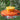 Woodlink Plastic Saucer Oriole Feeder, 14 oz. Flying Colors