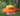 Woodlink Plastic Saucer Oriole Feeder, 14 oz. Flying Colors