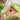 Woodlink Wren House Kit Flying Colors