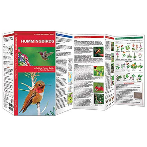 Waterford Press Hummingbirds Booklet Flying Colors
