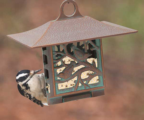 Whitehall Nuthatch Suet Feeder, Copper Verdi Flying Colors