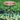 Ancient Graffiti Solid Copper Bird Bath with Stake Flying Colors