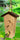 Audubon Ultimate Renewable Bamboo Tall Bird Feeder Flying Colors