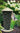 Audubon Plant Fiber-Based Sunflower Mesh Feeder, Large Flying Colors