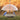 Audubon Domed Wild Bird Feeder Flying Colors