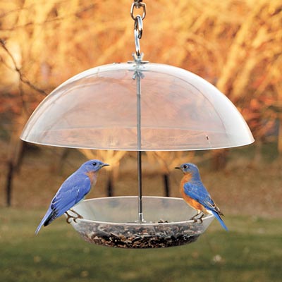 Audubon Domed Wild Bird Feeder Flying Colors