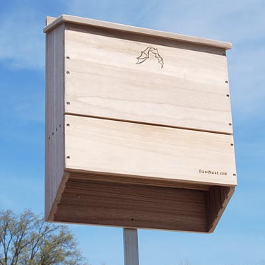 BestNest Five-Celled Bat House, 500 bats Flying Colors