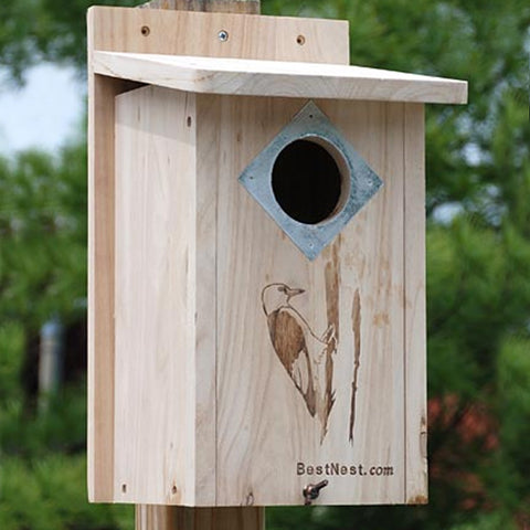 BestNest Classic Three-Woodpecker House Flying Colors