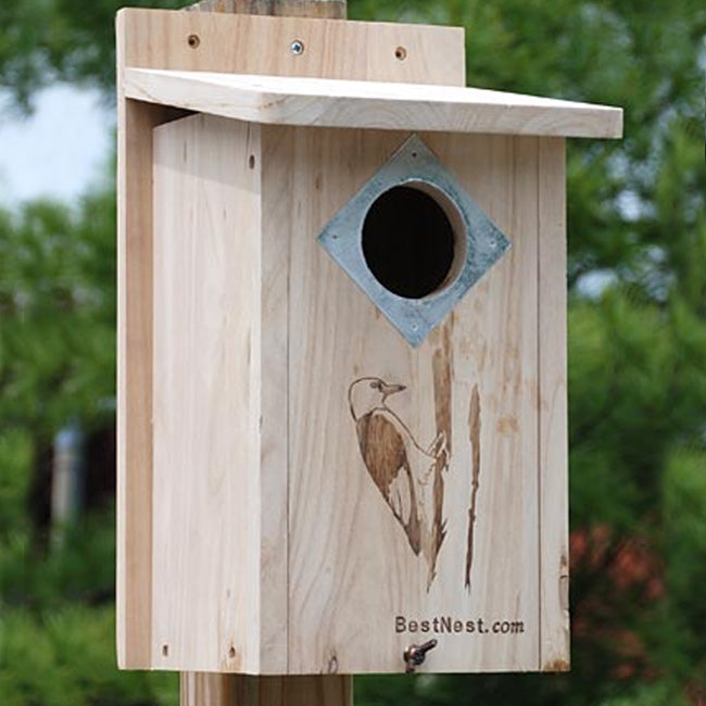 BestNest Classic Three-Woodpecker House Flying Colors