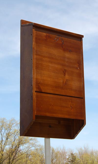 BestNest Premium Stained Bat House, Dark Brown, 400 bats Flying Colors