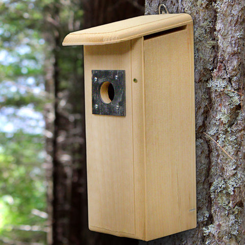 Coveside Downy Woodpecker House Flying Colors