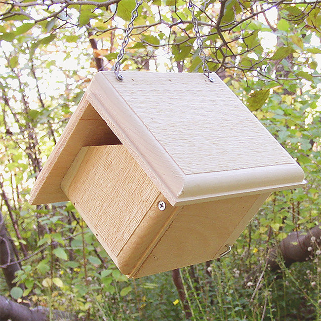 Coveside Carolina Wren Bird House Flying Colors