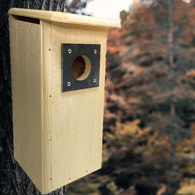 Coveside Three Woodpecker House Flying Colors