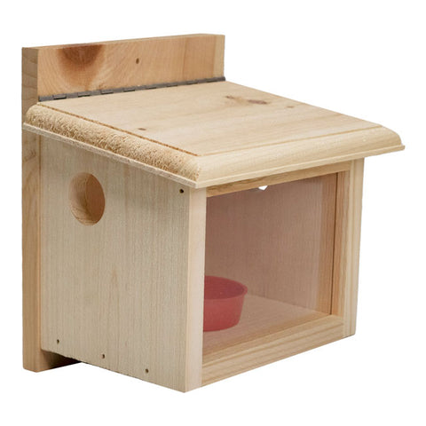 Coveside Post-Mount Bluebird Feeder Flying Colors