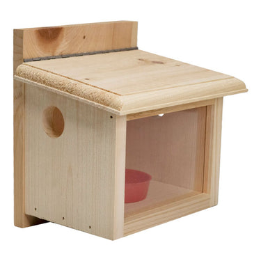 Coveside Post-Mount Bluebird Feeder Flying Colors