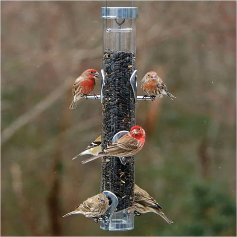 Droll Yankees A-6 Ring Pull Bird Feeder Flying Colors