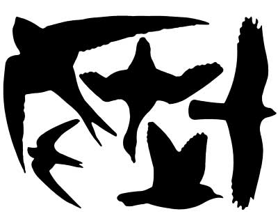 Esschert Design Bird Strike Black Warning Decals Flying Colors