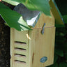 Esschert Design Ladybug House Flying Colors