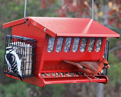 Heritage Farms Seeds & More Double-Sided Bird Feeder Flying Colors