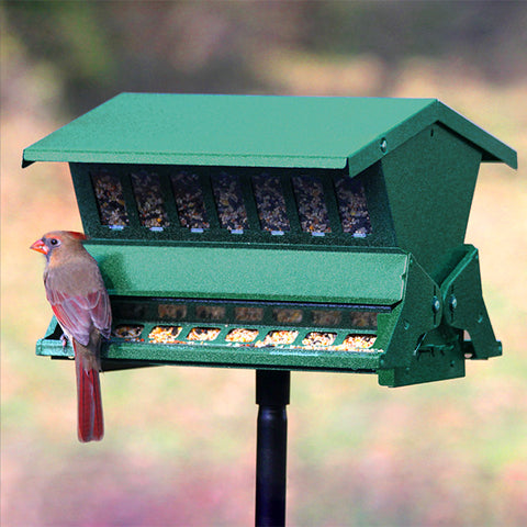 Double Sided Absolute II Bird Feeder with Pole & Hanger Flying Colors