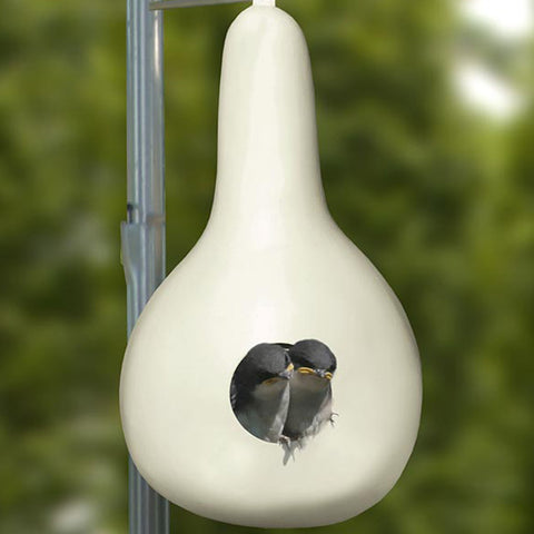 Heath Purple Martin Gourd Flying Colors