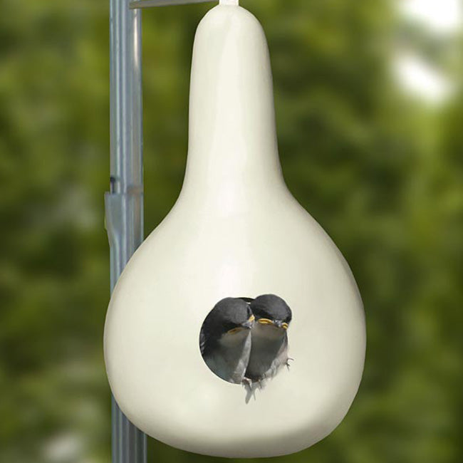Heath Purple Martin Gourd Flying Colors