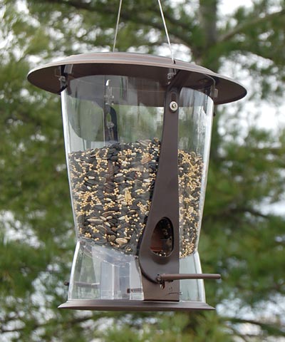 More Birds Squirrel X-2 Squirrel Proof Bird Feeder Flying Colors