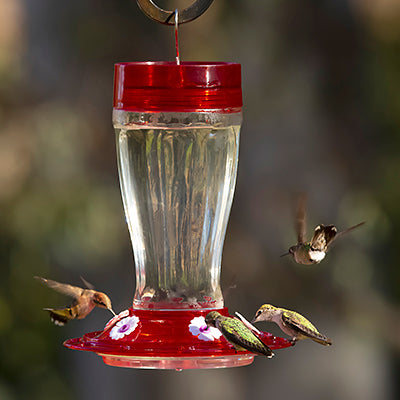 More Birds Big Gulp Hummingbird Feeder, 38 oz. Flying Colors