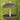 Eco-Friendly Covered Platform Bird Feeder Flying Colors