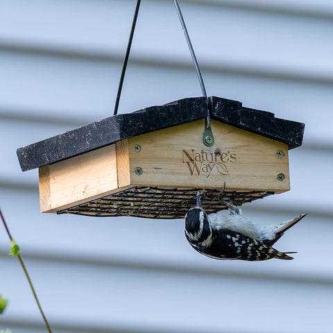 Nature's Way Cedar Upside-Down Suet Feeder Flying Colors
