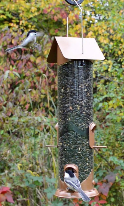 Nature's Way Deluxe Easy Clean Wide Tube Bird Feeder Flying Colors