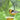 Parasol Mandarin Recycled Glass Oriole Feeder, Medium Flying Colors
