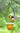 Parasol Mandarin Recycled Glass Oriole Feeder, Medium Flying Colors