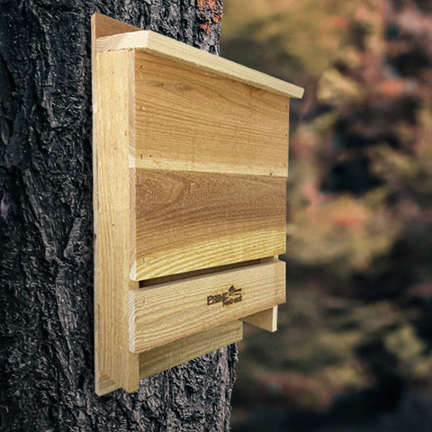Triple-Celled Cedar Bat House for 200 Bats by Prime Retreat Flying Colors