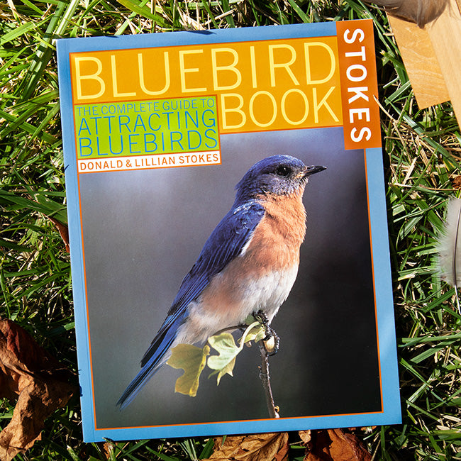 Stokes Bluebird Book Flying Colors