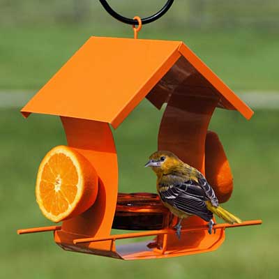 Woodlink Metal Six Station Oriole Feeder, Orange Flying Colors
