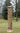 Woodlink Copper Mega Tube Bird Feeder Flying Colors