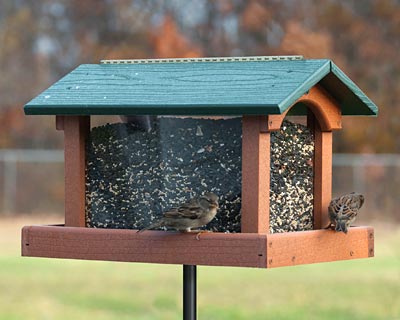 Woodlink Recycled Plastic Premier Hopper Bird Feeder Flying Colors