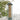 Woodlink Caged Screen Tube Bird Feeder Flying Colors