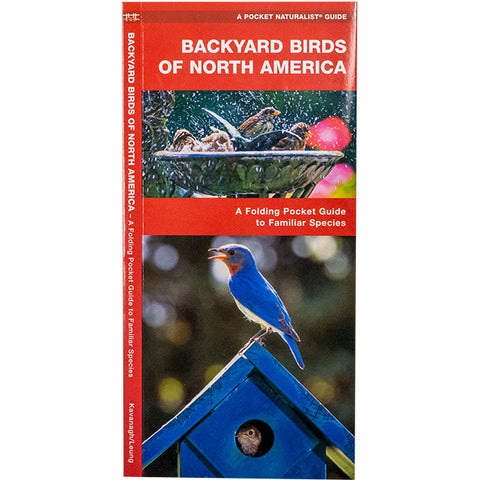 Waterford Press Backyard Birds of North America Booklet Flying Colors