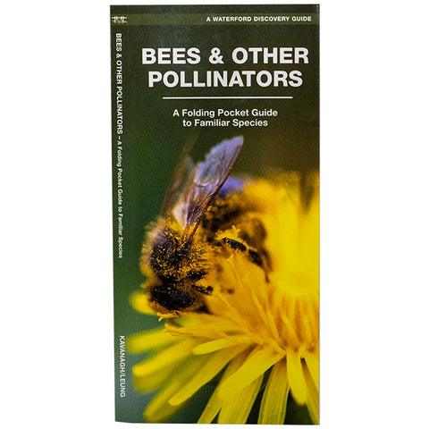 Waterford Press Bees & Other Pollinators Booklet Flying Colors